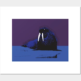 Walrus Pinup #3 Posters and Art